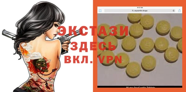 эйфоретик Гусь-Хрустальный