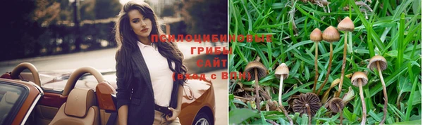 мет Абинск