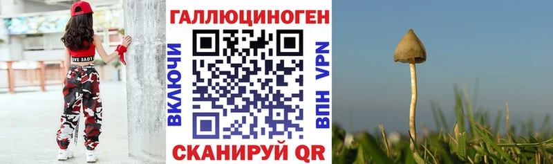 Псилоцибиновые грибы GOLDEN TEACHER Уварово
