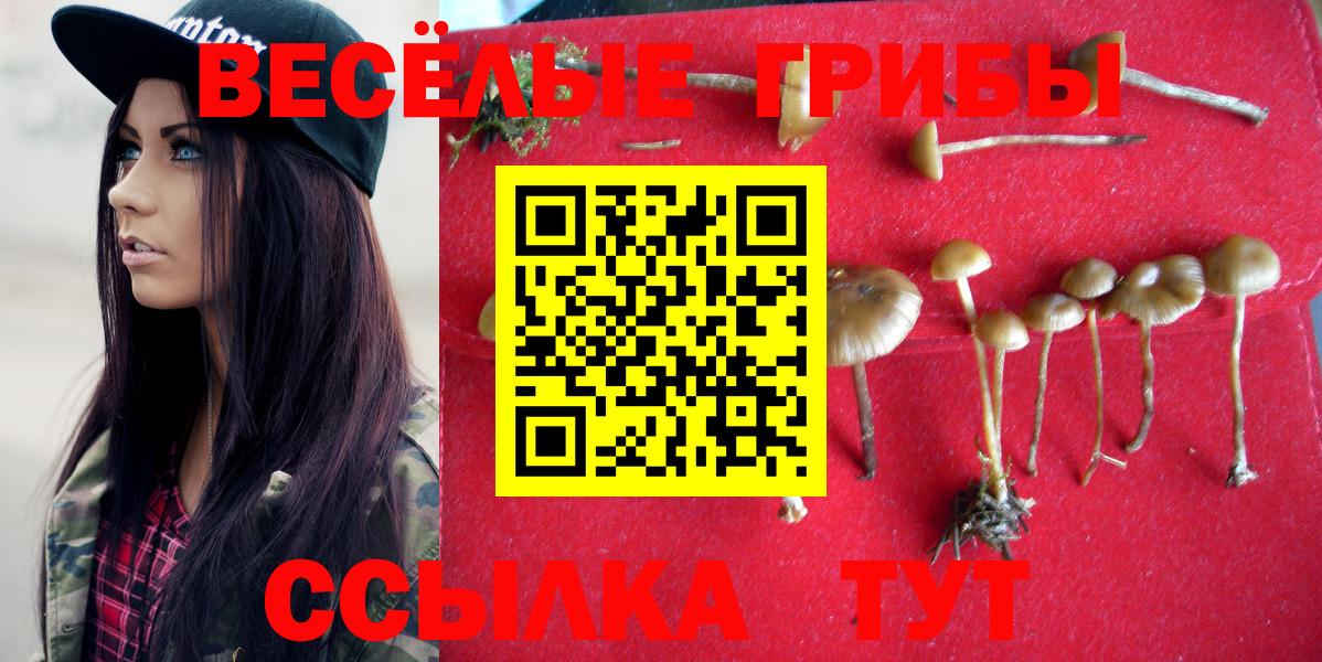 Псилоцибиновые грибы Cubensis Уварово